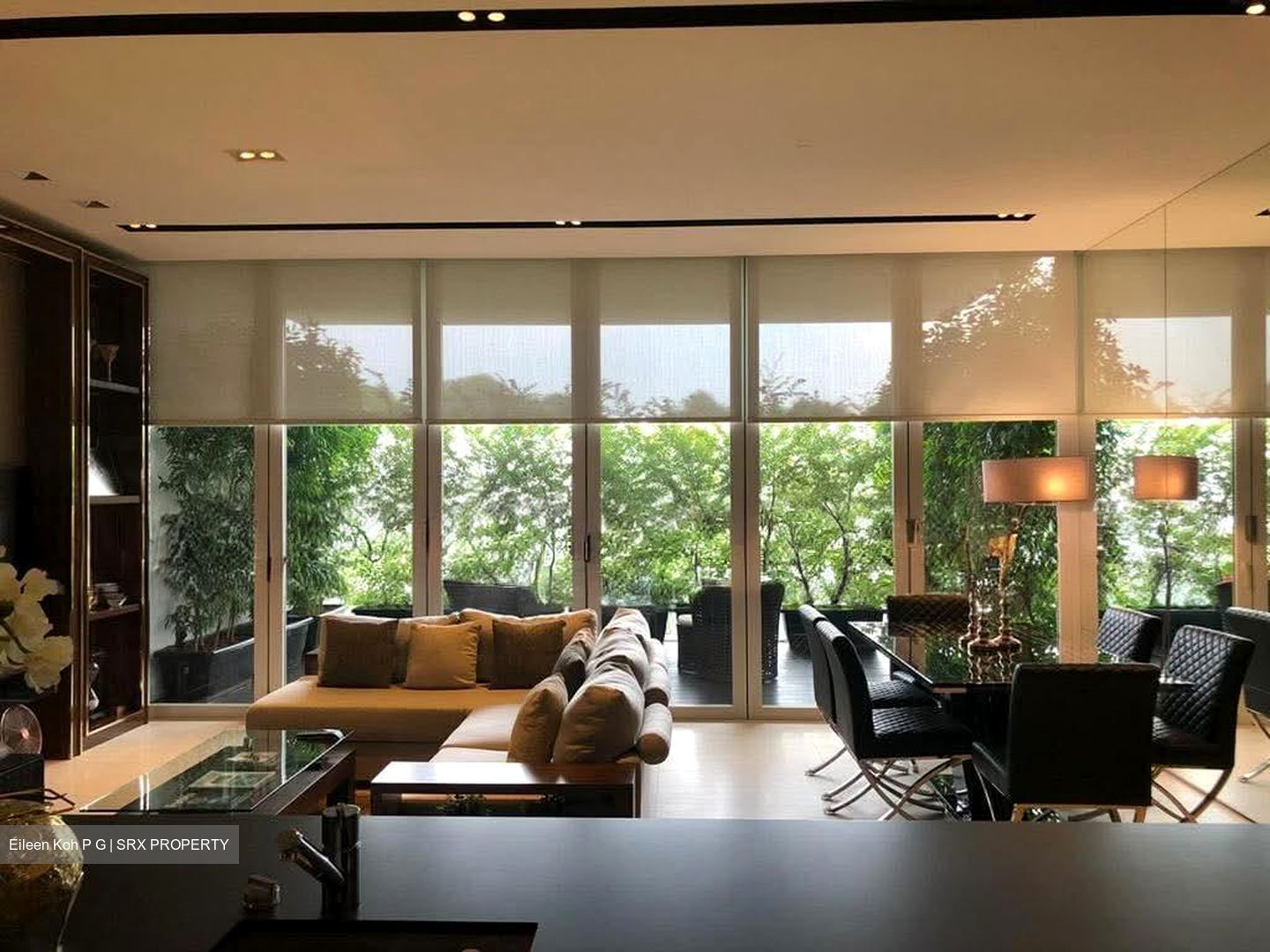 8 Napier (D10), Condominium #585213131